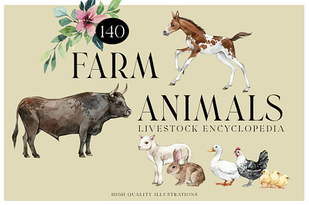 FARM ANIMALS Encyclopedia, an Animal Illustration by Anastezia Luneva