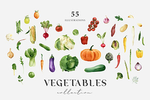 Vegetable illustration. Organic food