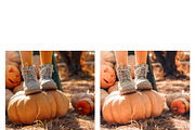10 Pumpkin Pie Lightroom Presets, a Preset Add-On by MockTurtleStudio (Thumbnail 3 of 8)
