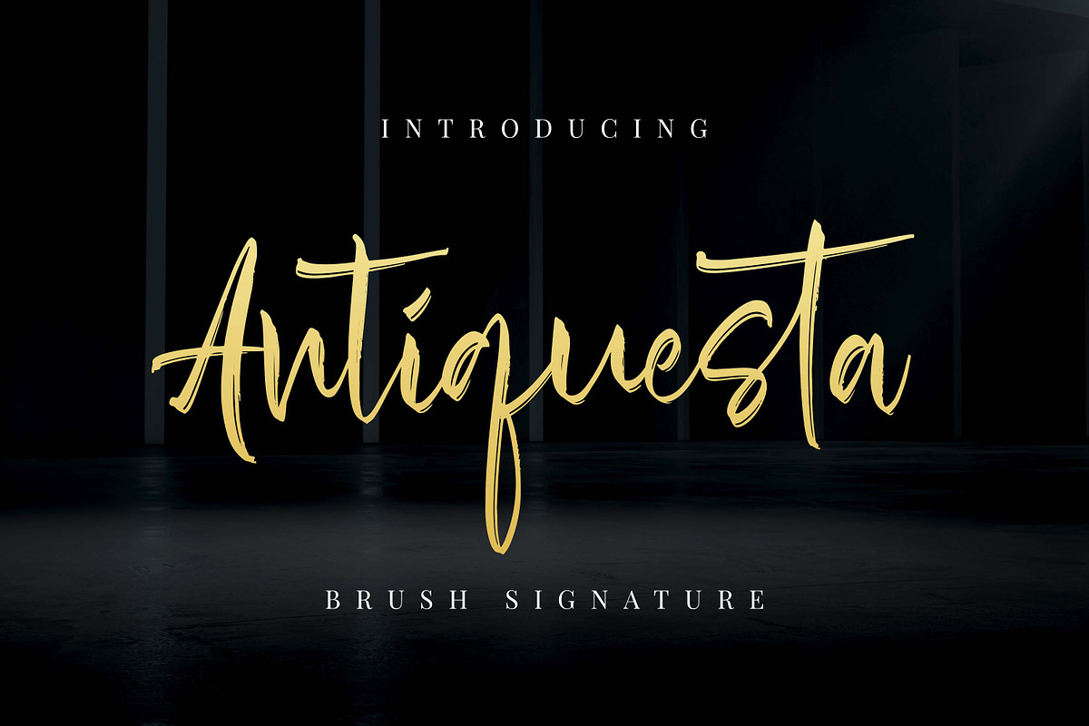 Antiquesta - Brush Signature, a Script Font by Almarkhatype (Photo 1 of 10)