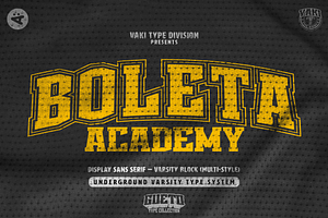 BOLETA ACADEMY