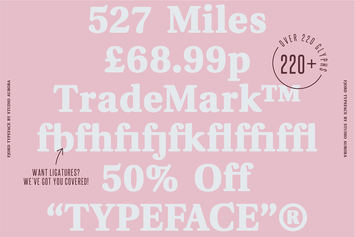 Fjord - Soft Fat Serif Font preview 4