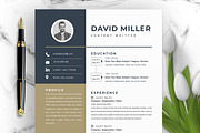 JOB WINNING RESUME - 50 TEMPLATES, a Resume Template by ResumeInventor (Thumbnail 83 of 184)
