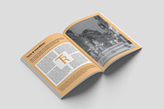Business Proposal, a Brochure Template by Art Design Shop (Thumbnail 8 of 9)