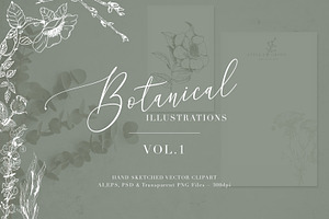 Botanical Illustrations Vol.1
