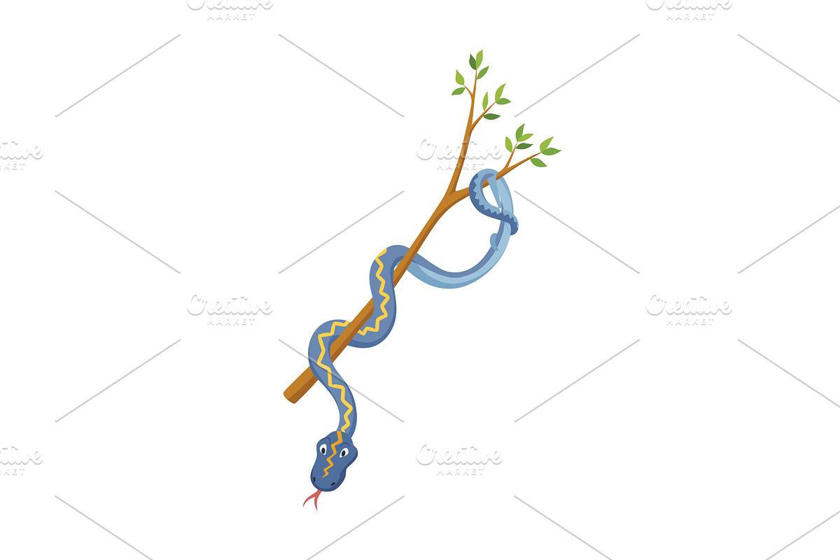 Cartoon color snake. Cute, an Animal Illustration by Things for designers