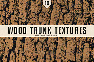 Wood Trunk Textures