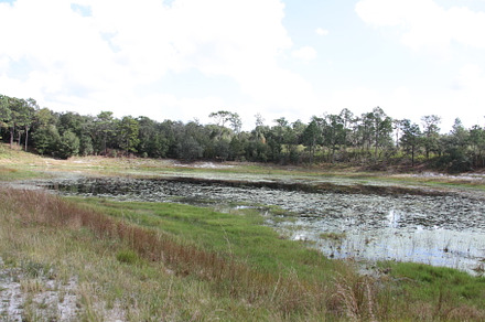 Lake in Gold Head Branch State Park