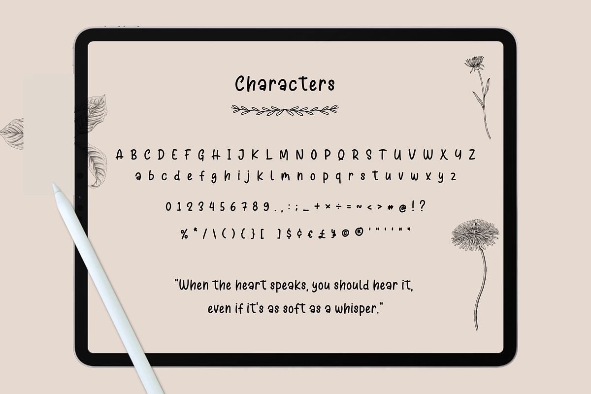 Barbadine du Soir, a Script Font by Sofia Skoog (Photo 6 of 12)