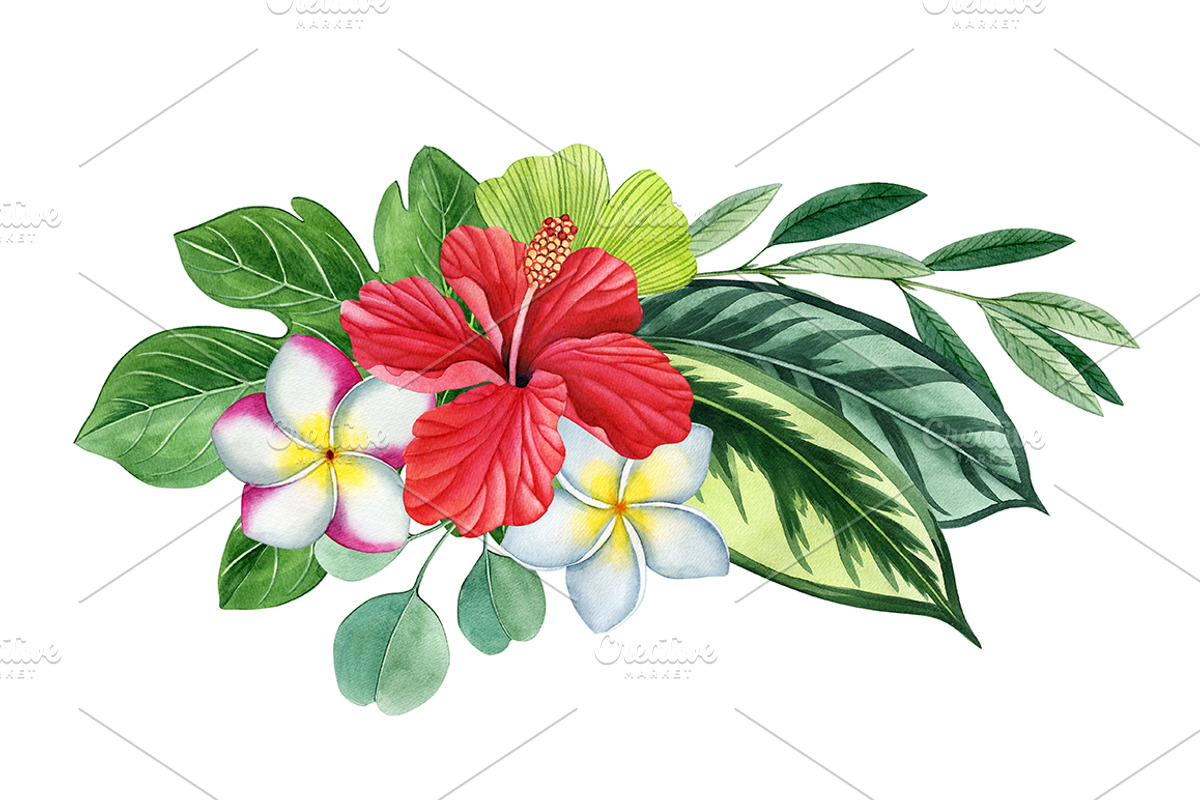 Tropical plants set, an Illustration by Watercolor life (Photo 4 of 13)