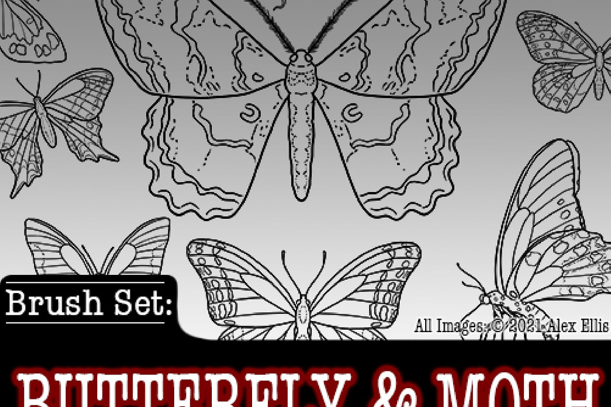 Butterfly & Moth, a Brush Add-On by Forget Me Not Brush Shop (Photo 1 of 3)