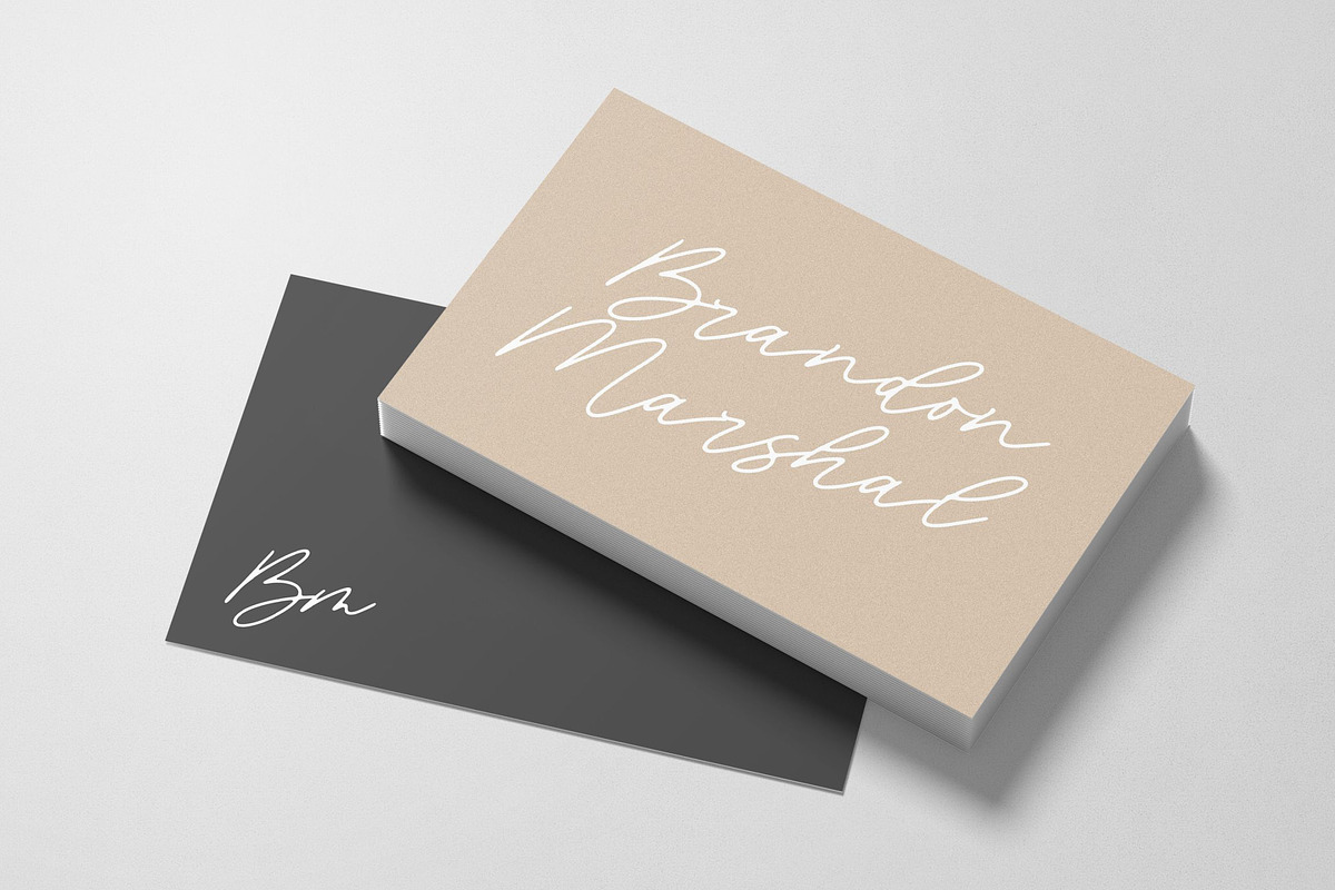Blackswan - Monoline Signature Font, a Script Font by Letterative Studio (Photo 4 of 7)