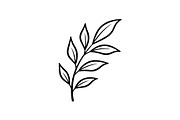 Hand Drawn Leaf Line Art Bundle, an Illustration by hafijul (Thumbnail 4 of 51)