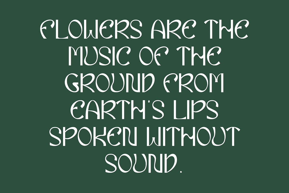 Eiclare Decorative Display Font, a Handwritten Font by Maulana Creative (Photo 5 of 7)