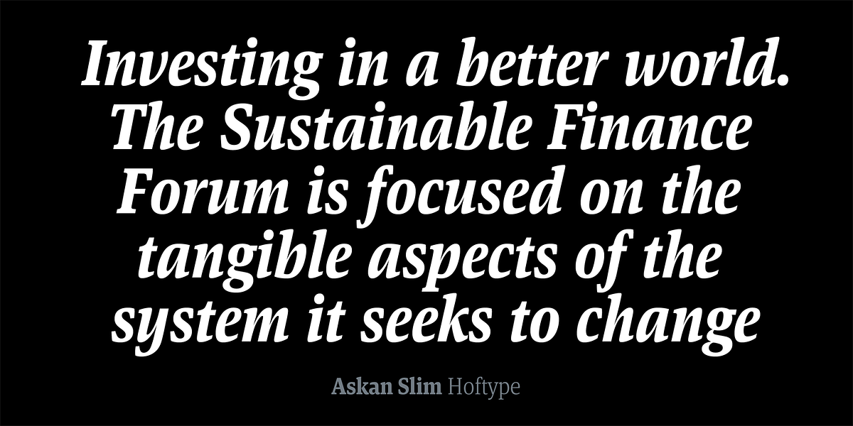 Askan Slim, a Serif Font by Hoftype (Photo 14 of 14)