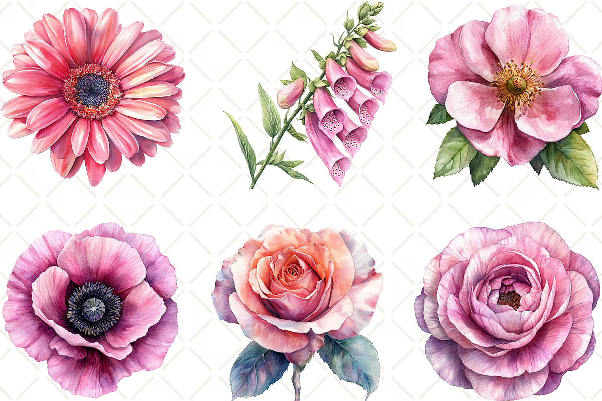 Pink Flowers Watercolor Clipart, an Illustration by Black Bird Studio (Photo 4 of 6)