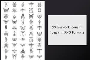 Vector Insect Icons