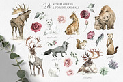 Forest Legends Winter animal set, a Seasonal Illustration by Anastezia Luneva (Thumbnail 2 of 17)