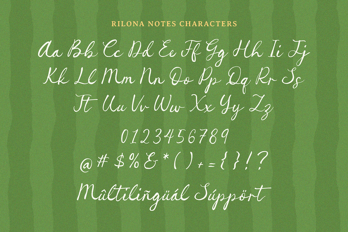 Rilona Notes Font, a Handwritten Font by Timurtype (Photo 6 of 7)