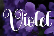 Violet | Script Font, a Script Font by Scratchones (Thumbnail 1 of 8)