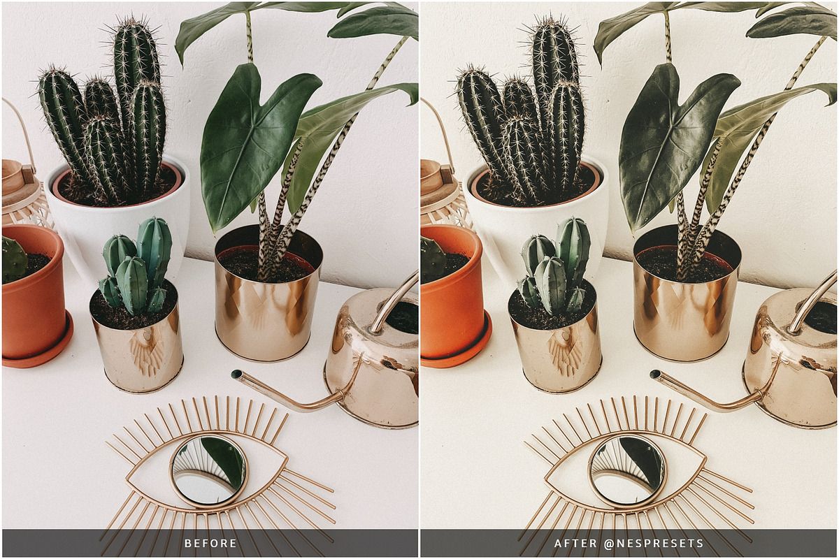 OLIVE TONES LIGHTROOM PRESETS, an Action Add-On by Nes Design Co (Photo 11 of 12)