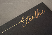 Signatural Handwritten Script Font, a Script Font by Letteralle Studios (Thumbnail 9 of 9)
