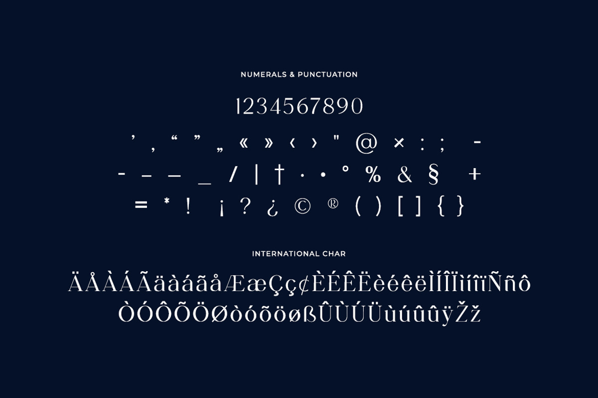 Lecherously Modern Serif Font, a Serif Font by UICreative (Photo 6 of 13)