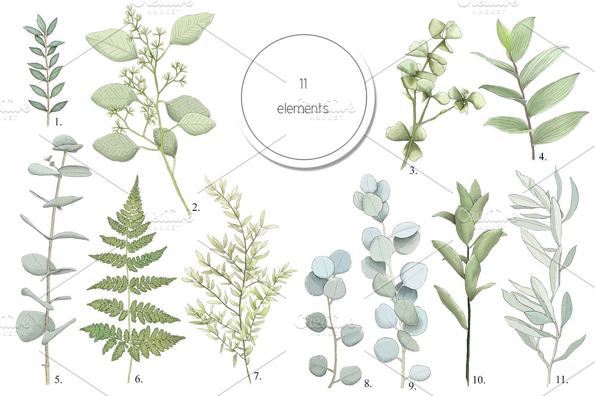 Fresh greenery frames and patterns, a Decorative Illustration by marie dricot (Photo 12 of 16)