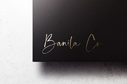 Palm Honey // Modern Lovely Script, a Handwritten Font by PeachCreme (Thumbnail 7 of 11)