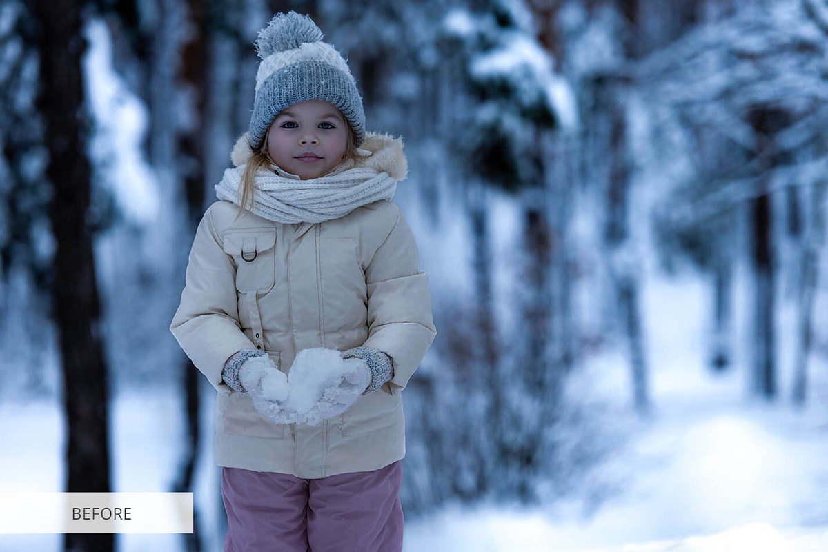 Winter Tale Presets, a Plug-in Add-On by FixThePhoto (Photo 7 of 23)