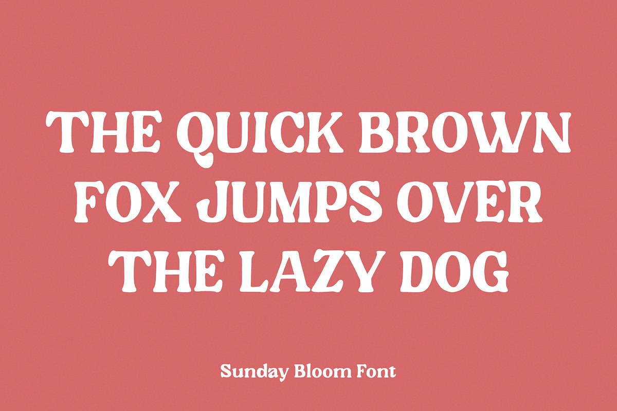 Sunday Bloom, a Serif Font by Prioritype Co (Photo 2 of 11)