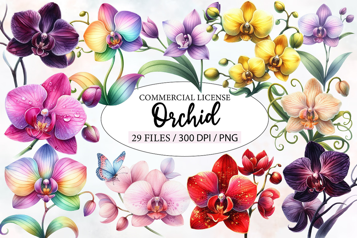 Watercolor Orchid Clipart, an Illustration by Designworld (Photo 1 of 7)