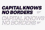 Capital Superfamily intro offer, a Sans Serif Font by Fenotype (Thumbnail 15 of 17)