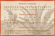 Sol de Jalisco mexican style font, a Font by Fat Hamster (Thumbnail 2 of 7)
