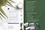 CEO Resume Template, CV Templates, a Resume Template by Career Canvas (Thumbnail 5 of 11)