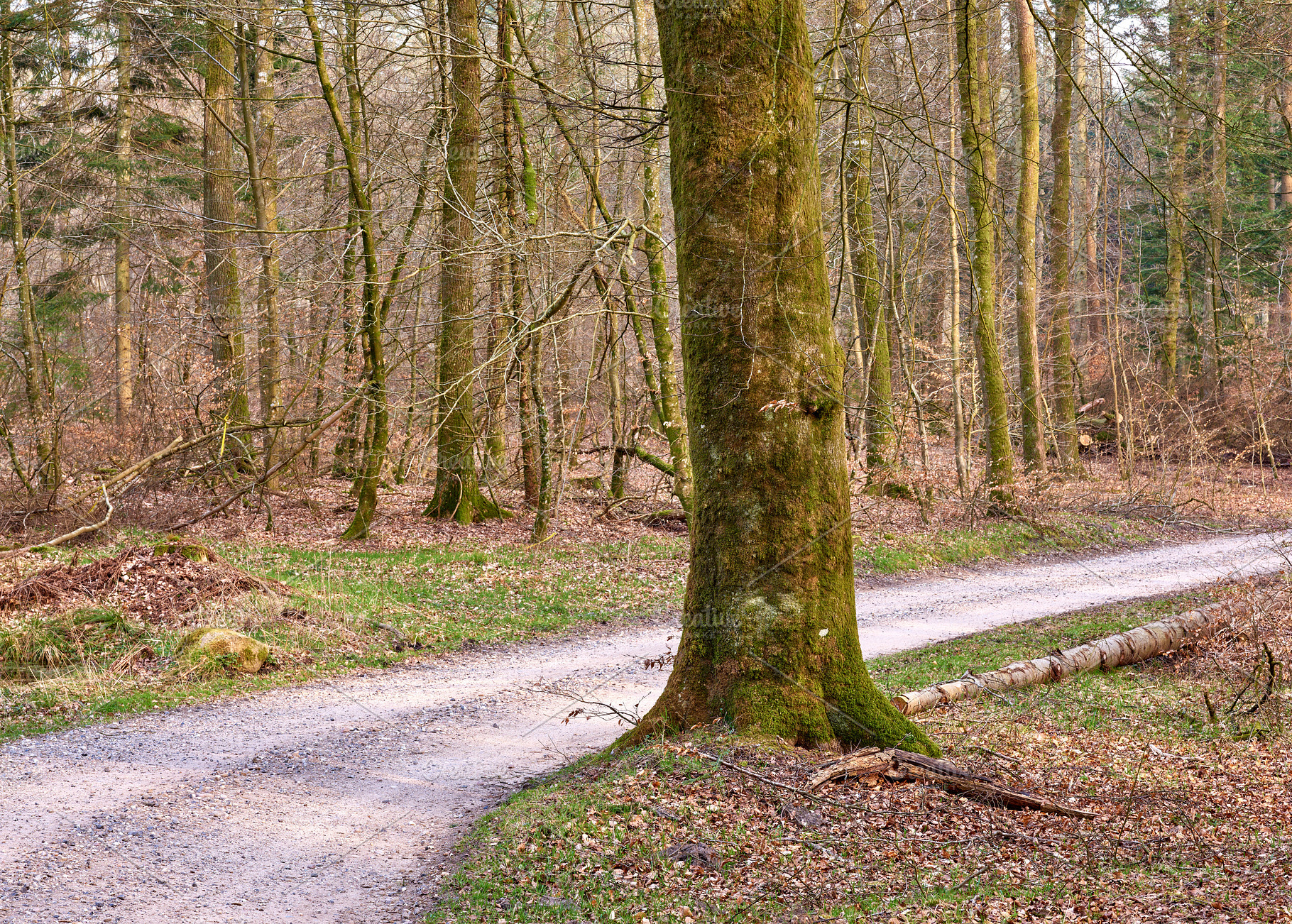Beautiful Denmark, a Photo by Peopleimages.com