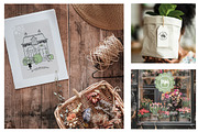 Collection florale – Logos, pictogra, an Outline Icon by AnneCeline (Thumbnail 5 of 8)