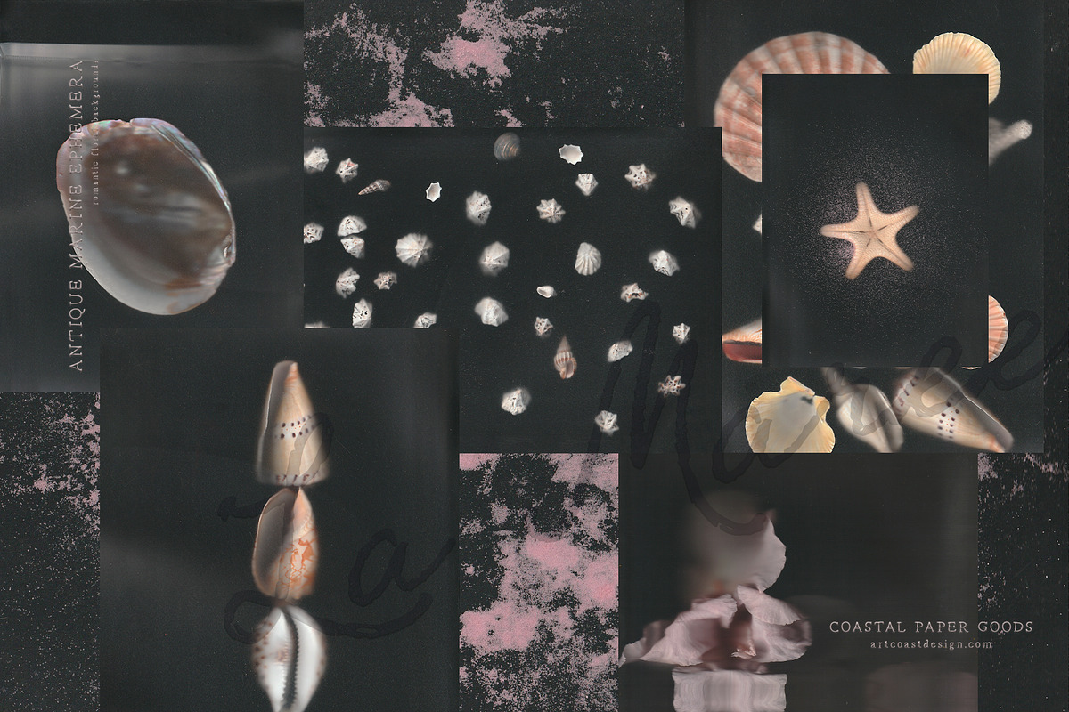 La Maree — Coastal Ephemera, a Background Graphic by nadispasibenko (Photo 5 of 9)