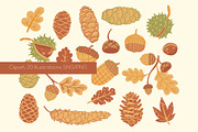 Pine cones & acorns Clipart patterns, a Seasonal Illustration by Carpet Tapete Pretzel (Thumbnail 2 of 13)