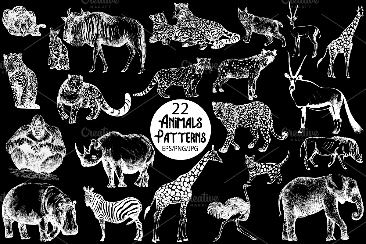 Wild Animals 2, an Animal Illustration by Ecaterina Sciuchina (Photo 2 of 4)