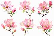 Watercolor Pink Magnolia clipart, an Illustration by Libby Wishes (Thumbnail 4 of 7)