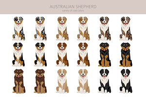 Australian Shepherd Dog Clipart