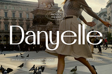 Danyelle Elegant Modern Sans Font