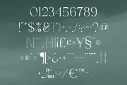 Seafont - serif typeface, 25 styles, a Serif Font by VP Fonts (Thumbnail 12 of 15)