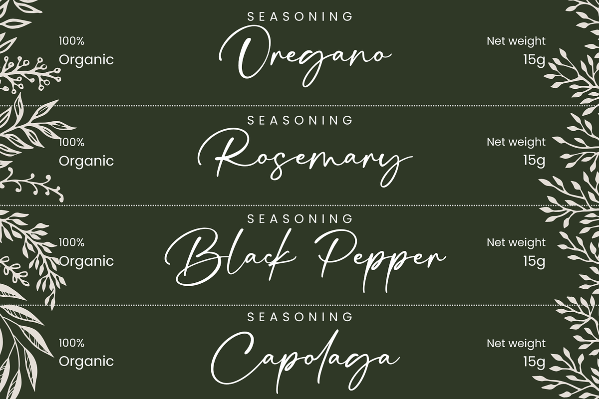 Signatura Onellander Handwritten, a Handwritten Font by Basnistudio (Photo 6 of 14)