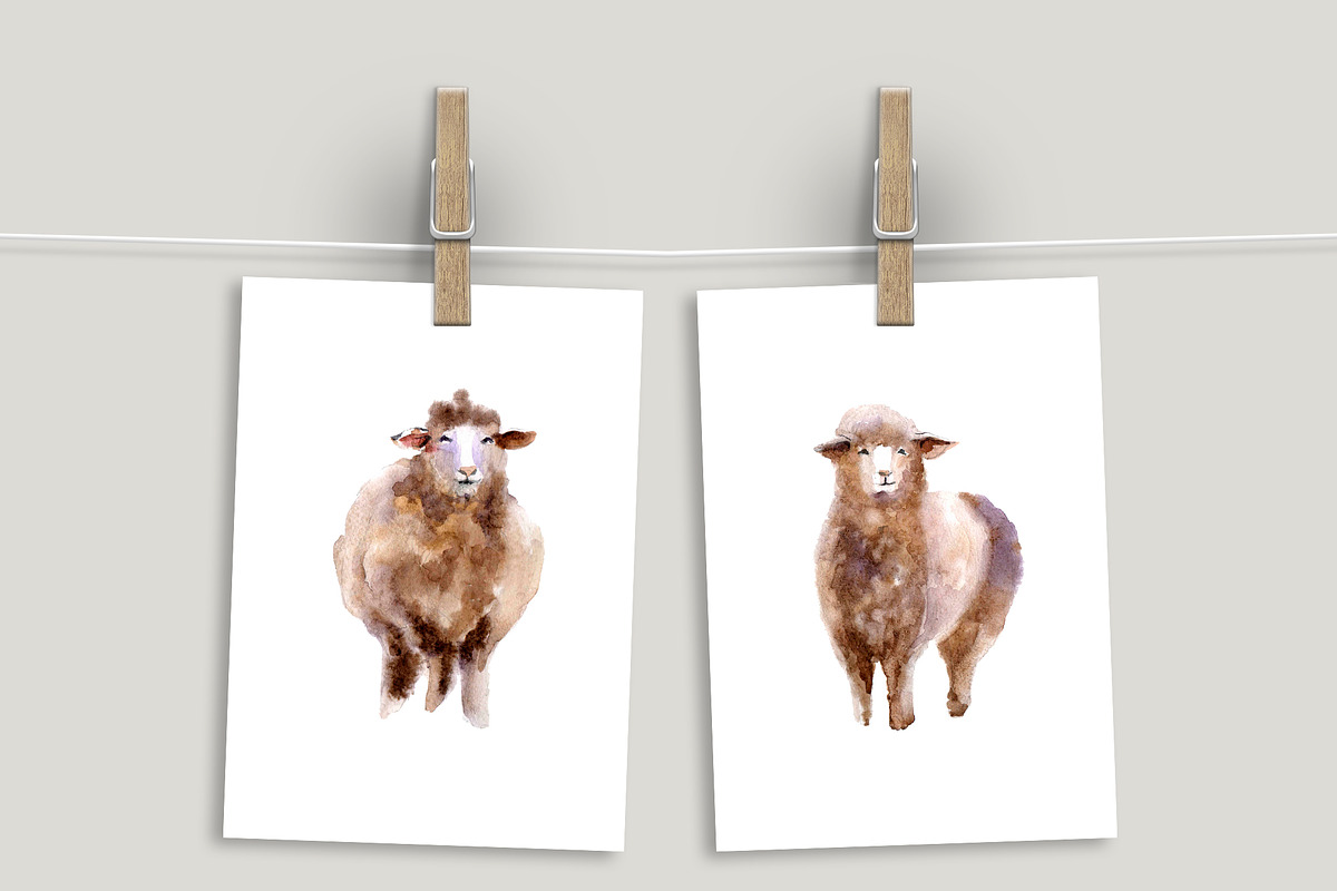 Watercolor Clipart. Sheep clipart, an Animal Illustration by KomtsyanTatyanaArt (Photo 4 of 4)