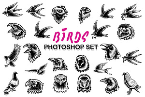 103 Winged & Furry Animal Designs