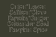 Stager - Unique Classy Serif, a Serif Font by Dharmas Foundry (Thumbnail 4 of 15)