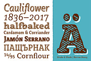 Sybilla Multiverse: Stroke + Rough, a Slab Serif Font by Karandash (Thumbnail 3 of 7)