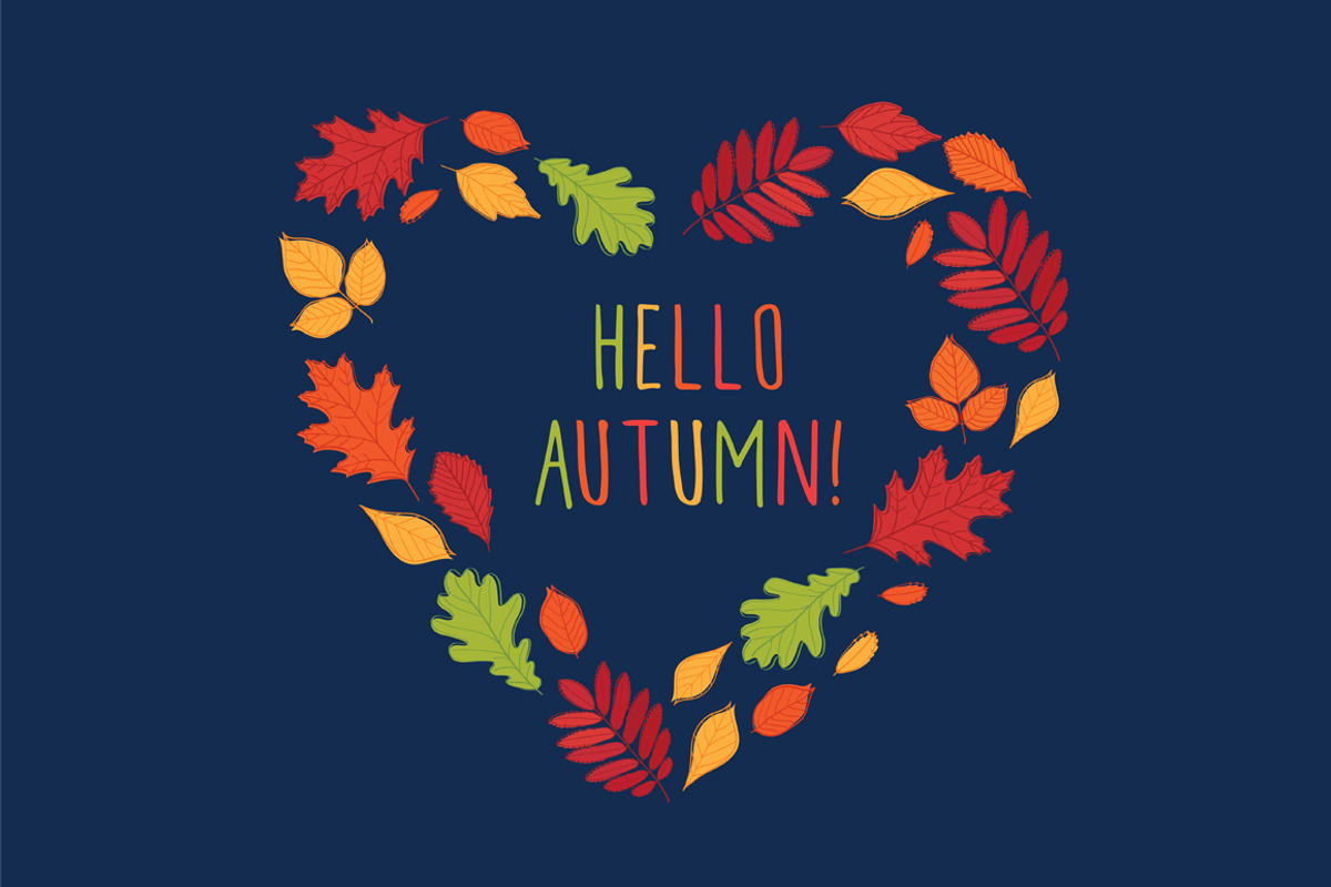 Hand drawn autumn leaves., an Education Illustration by Tkoko vectors & patterns (Photo 9 of 12)